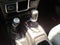 2024 Jeep Wrangler 2-Door Sport 4x4