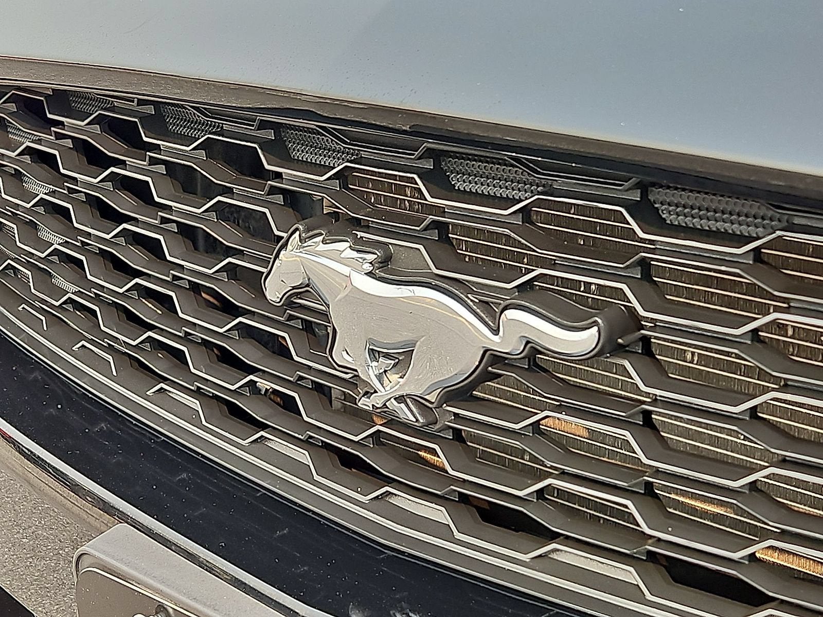 2015 Ford Mustang V6