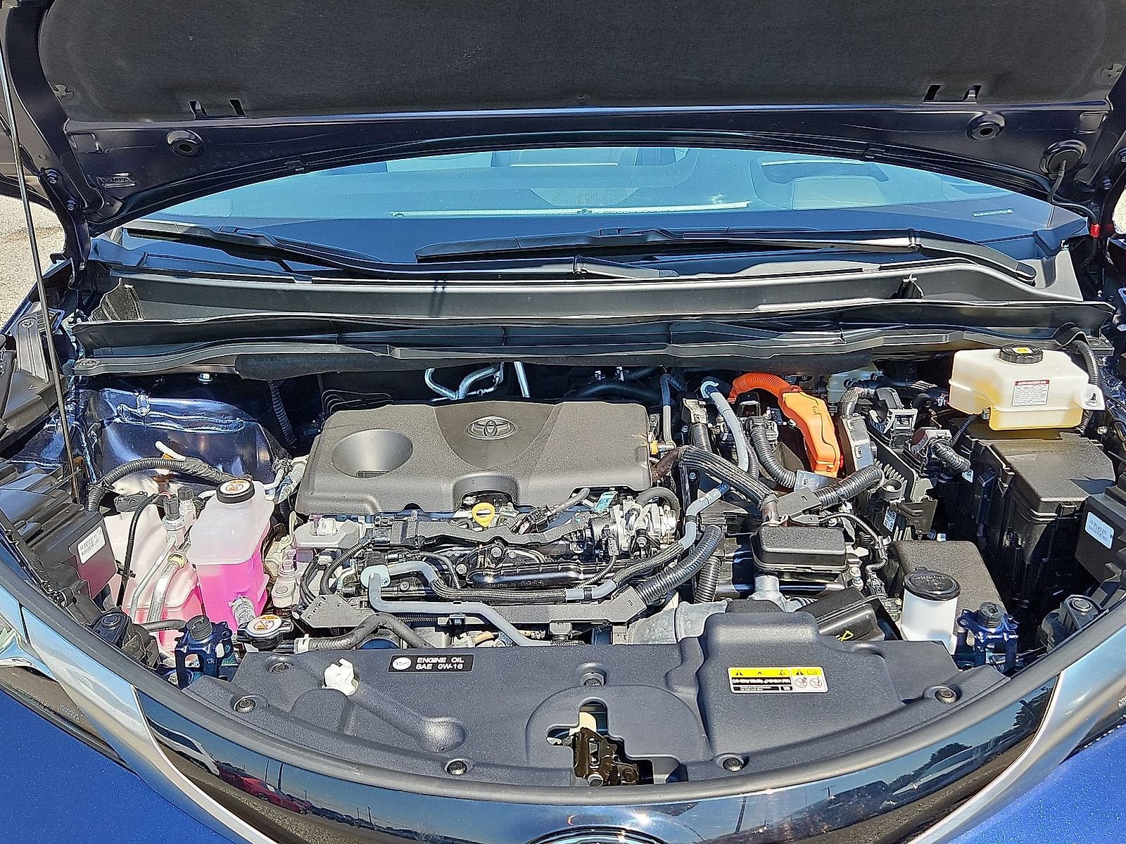 2025 Toyota Sienna Platinum