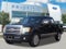 2010 Ford F-150 Platinum