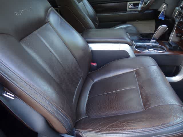 2010 Ford F-150 Platinum