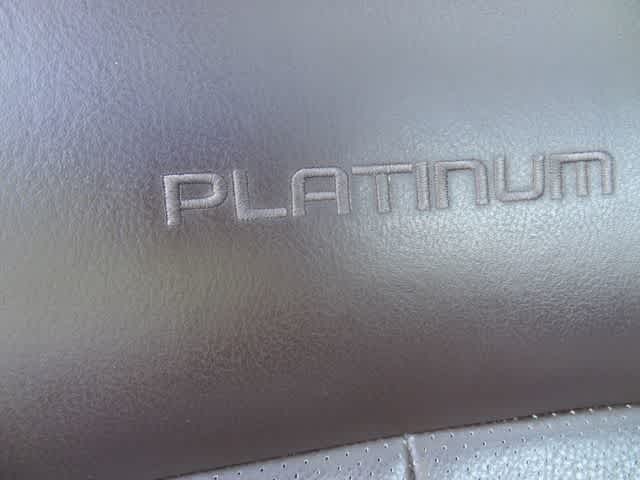 2010 Ford F-150 Platinum