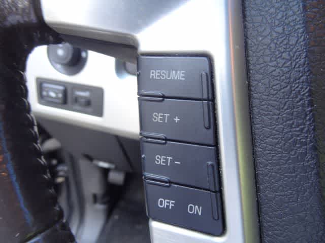 2010 Ford F-150 Platinum