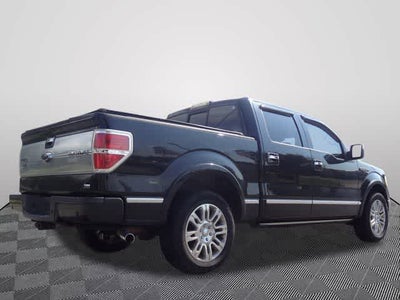 2010 Ford F-150 Platinum
