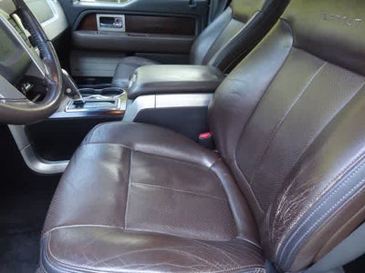 2010 Ford F-150 Platinum