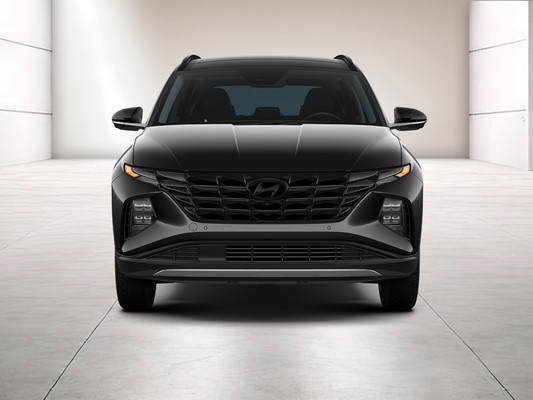 2024 Hyundai Tucson Limited FWD in Virginia Beach, VA - Priority Auto Group