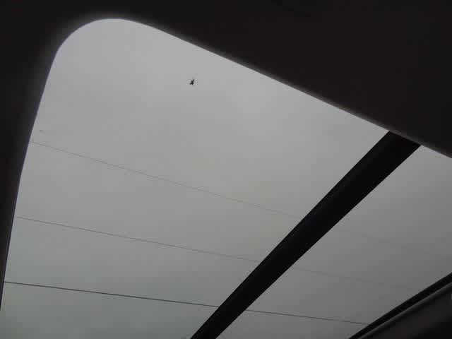 2023 Toyota Sequoia Limited