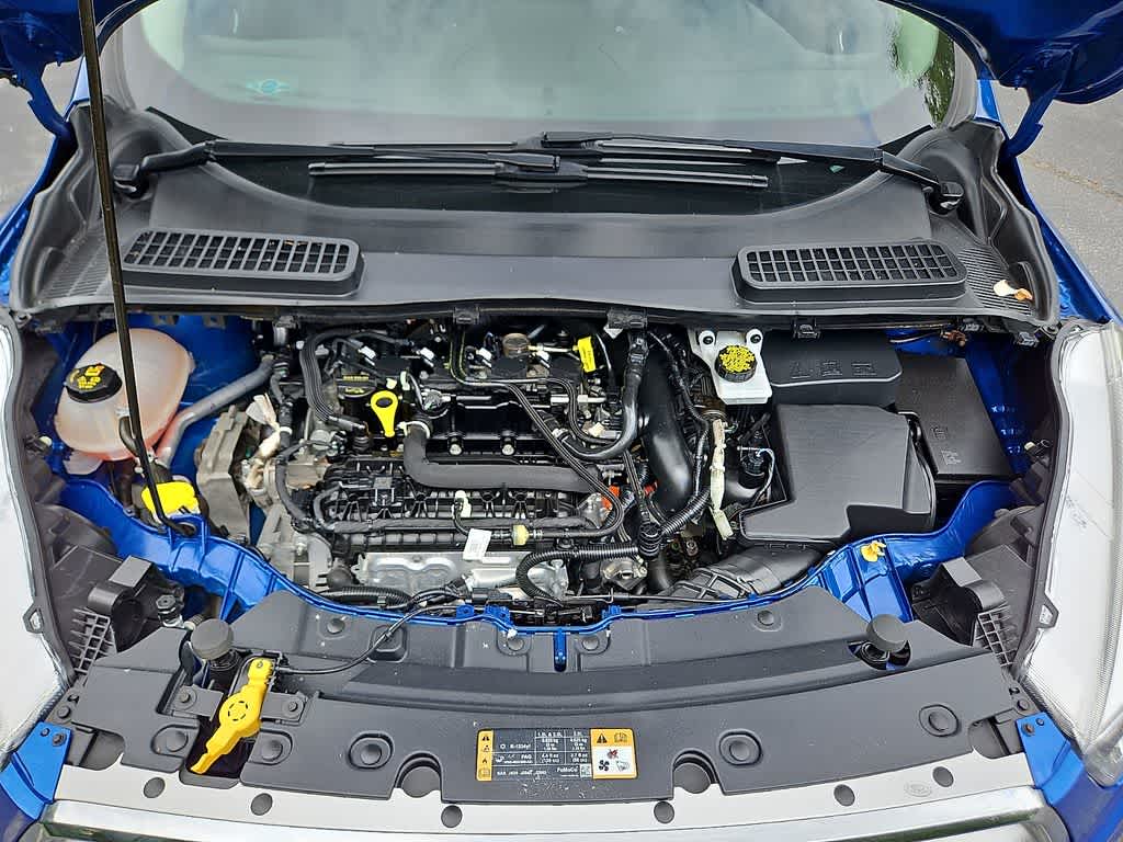 2019 Ford Escape SE