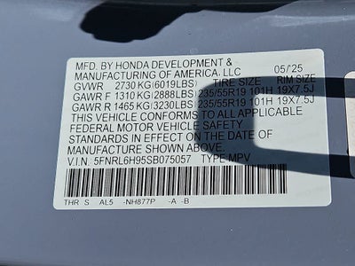 2025 Honda Odyssey Elite