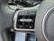 2023 Kia Carnival SX