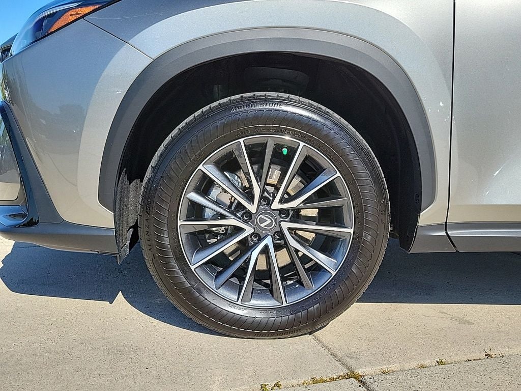 2023 Lexus NX 350 Premium