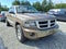 2009 Dodge Dakota Bighorn/Lonestar