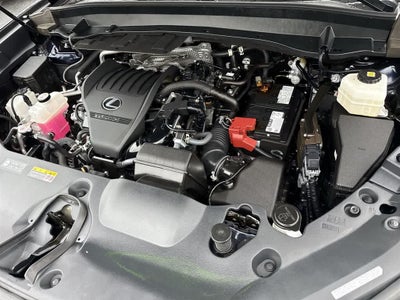 2024 Lexus TX 350 Premium